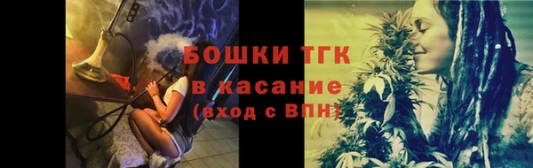 твердый Арсеньев