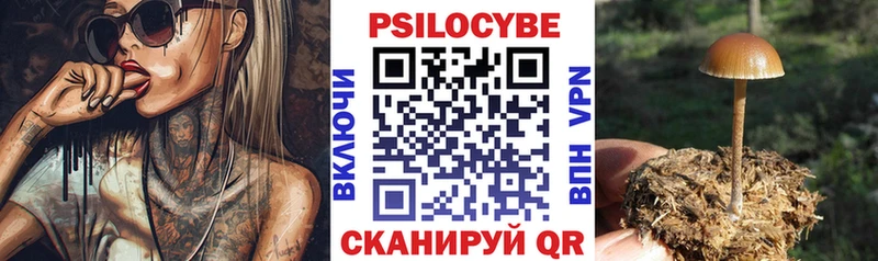 Галлюциногенные грибы GOLDEN TEACHER  Опочка 